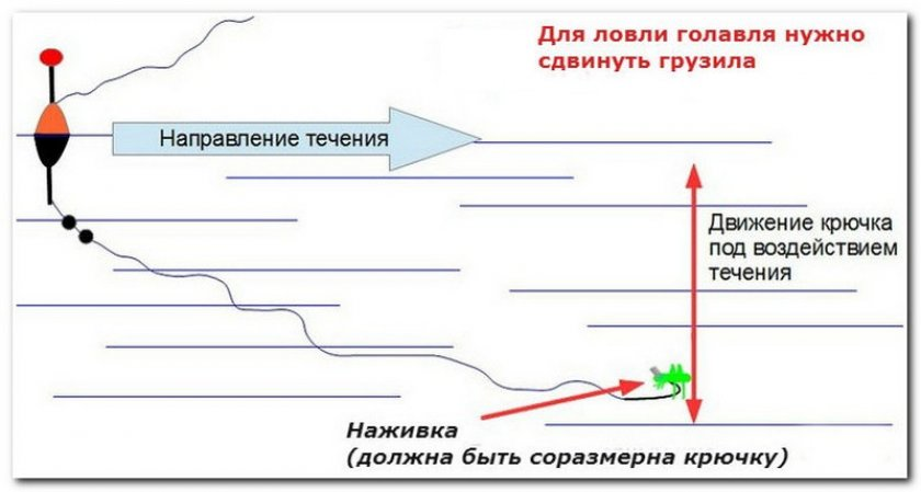 Монтаж удочки на течение. Монтаж для ловли голавля на течении. Оснастка для ловли на течении поплавочной удочкой. Оснастка поплавочной удочки на голавля на течении. Снасть на голавля летом на реке.