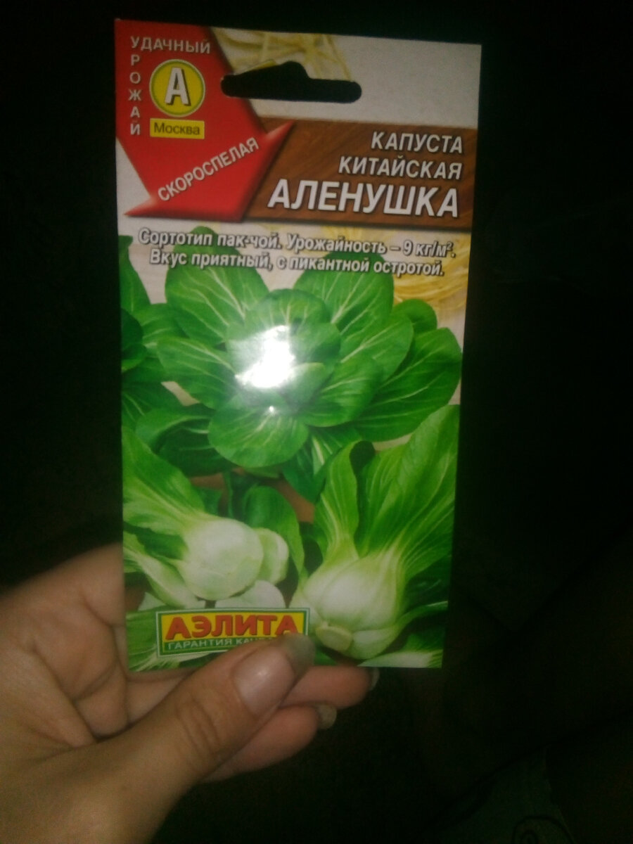 Вот такая Пак Чой