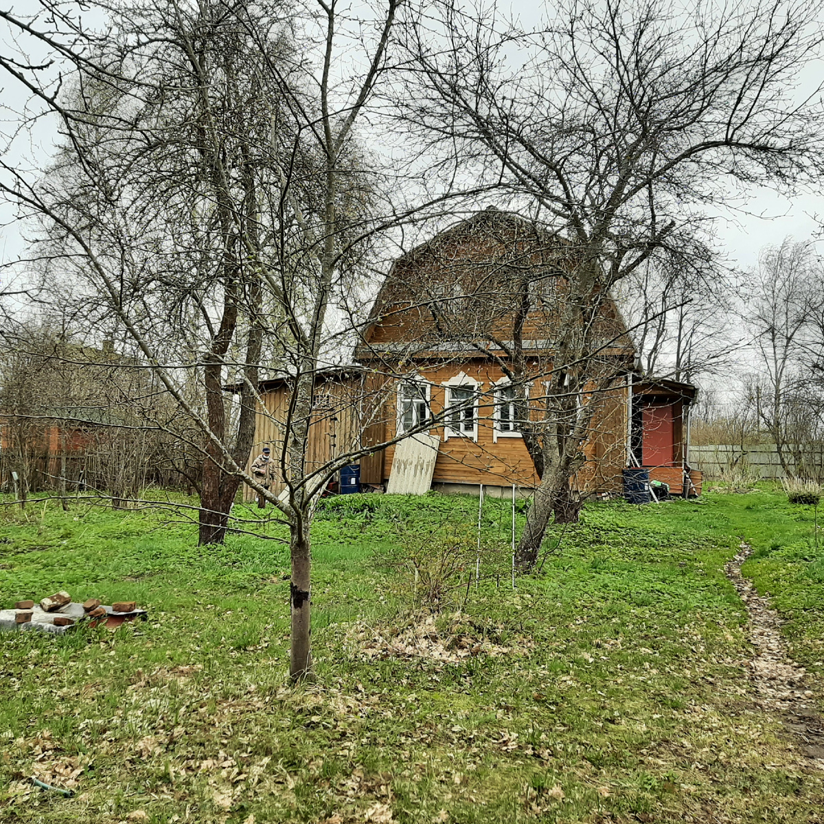Яблони. Далеко до цветения