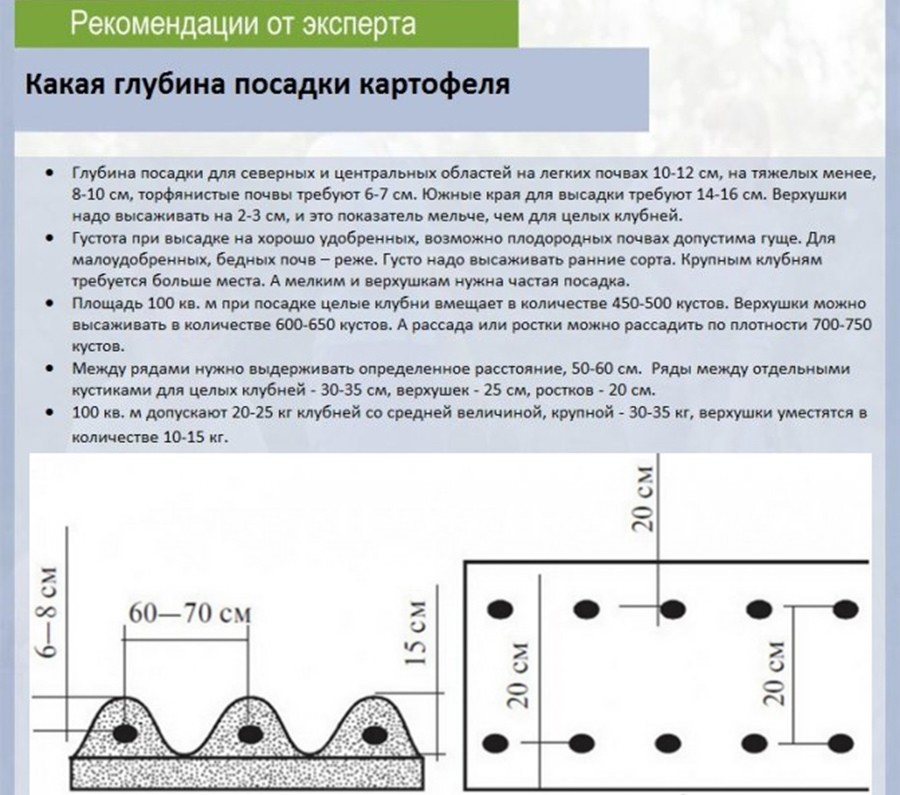 Изготовление приспособлений для посадки и прополки картофеля своими руками