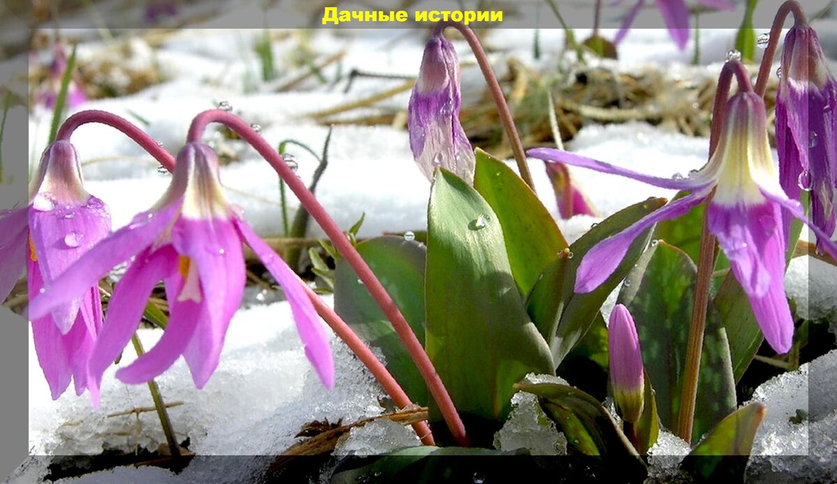 https://vk.com/photo-159774511_457247299
