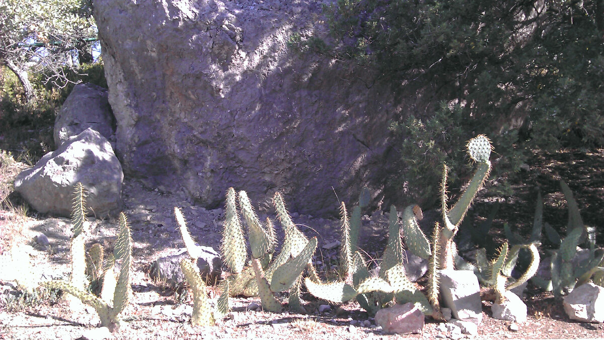 Парк пансионата Изумруд