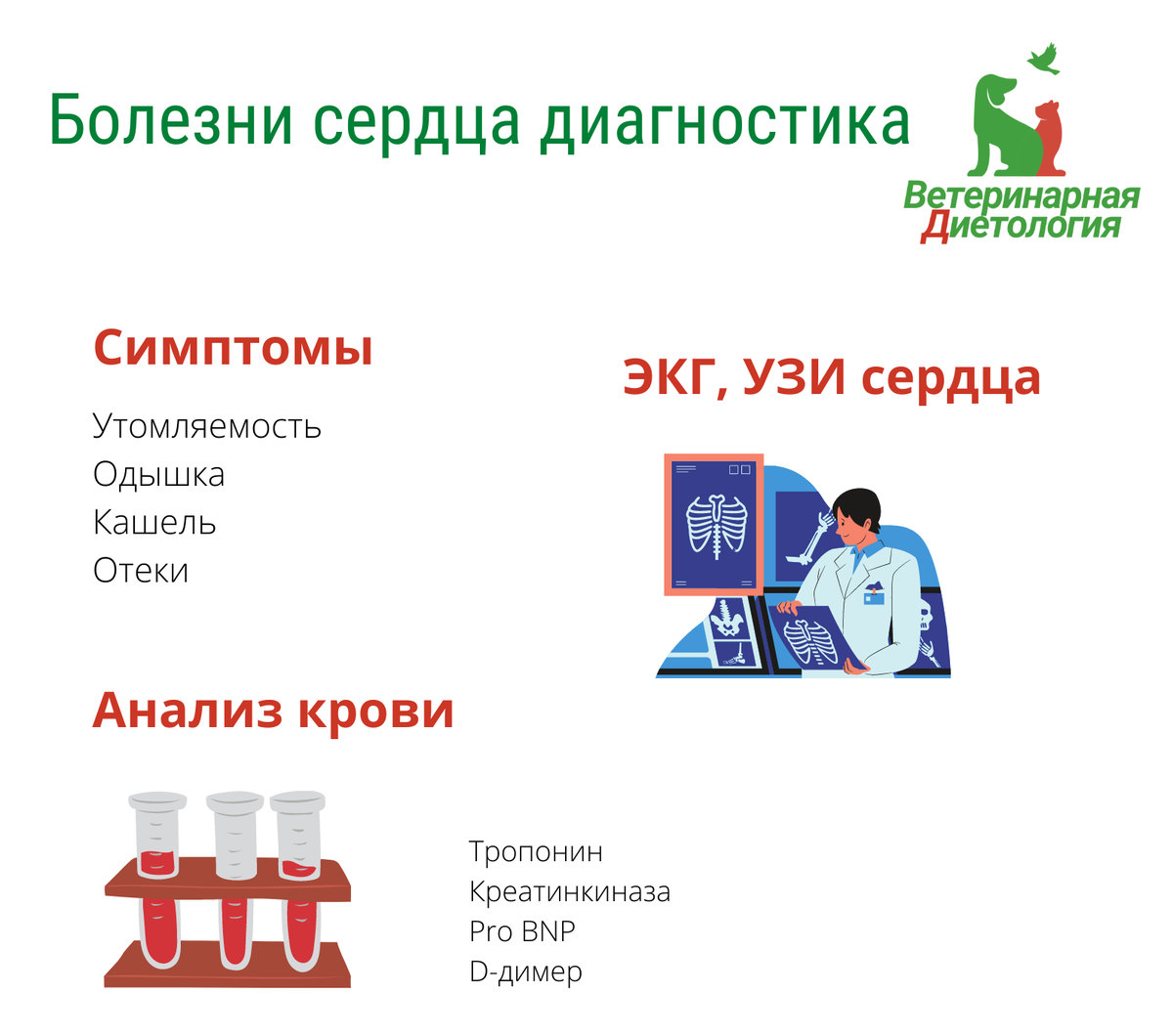 Клиническое питание при заболеваниях сердца | ВЕТЕРИНАРНАЯ ДИЕТОЛОГИЯ | Дзен