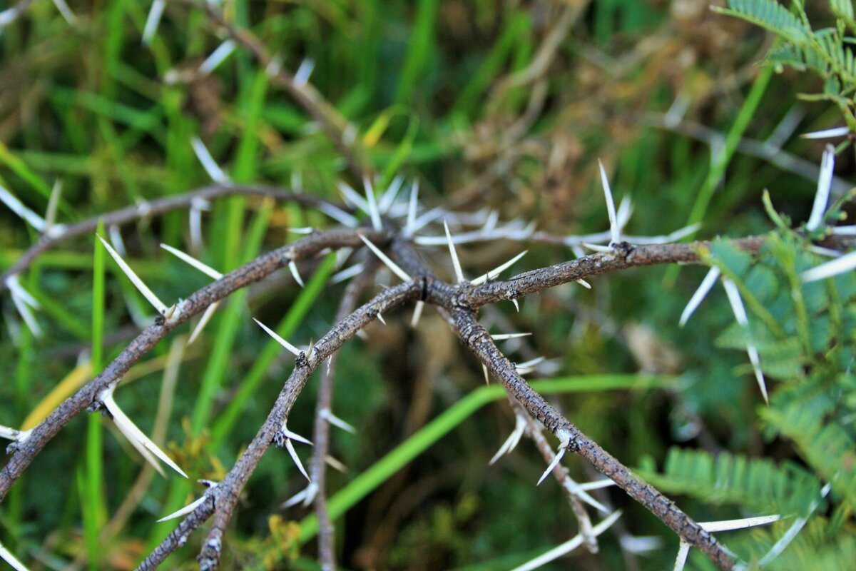 Семейная жизнь не всегда розы