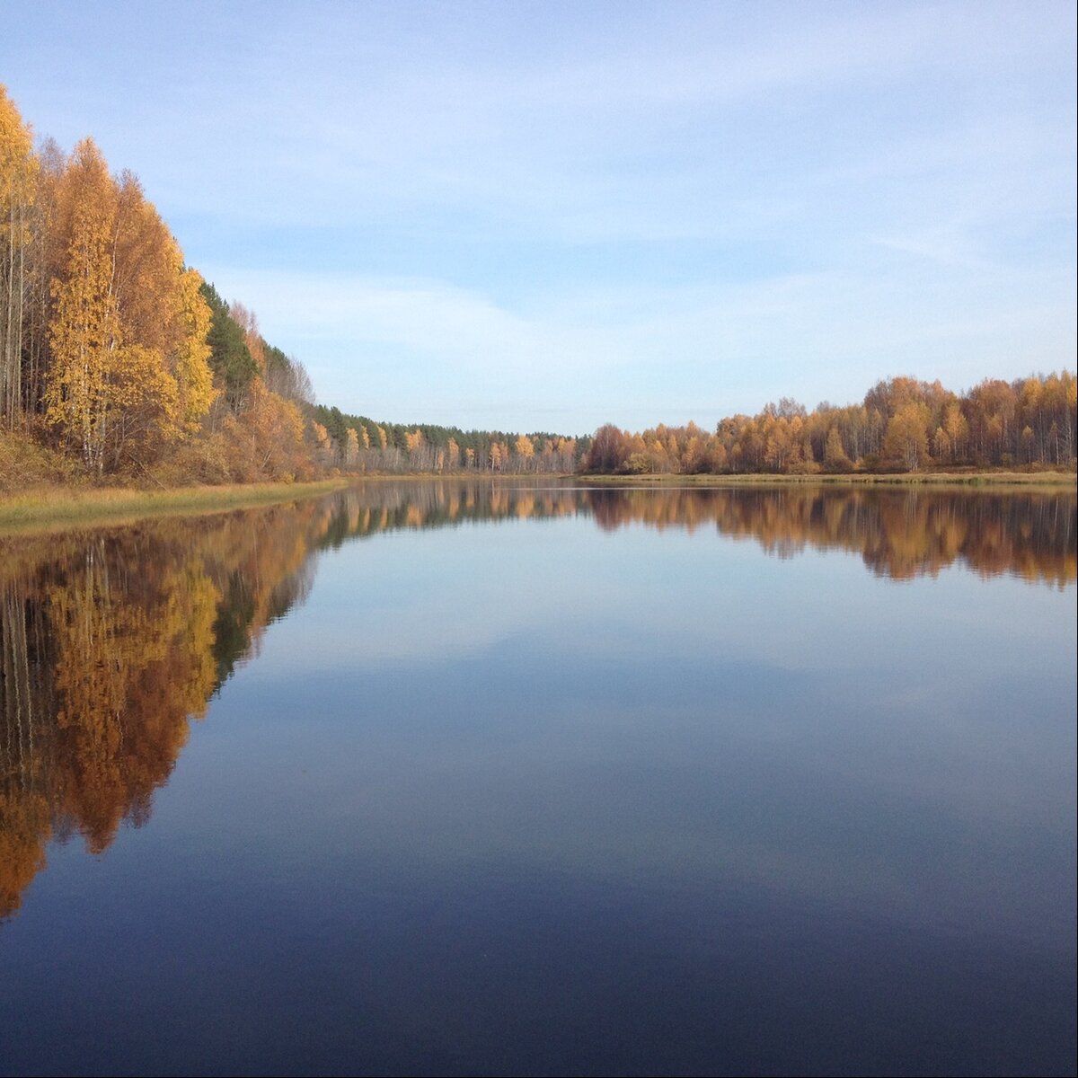 курья на реке Вычегда 