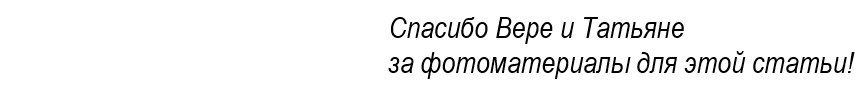 И зачем я выкинула три куста и посадила еще два Знакома ли вам ситуация, когда форзиция цветет так: Для тех, кто не разглядел великолепное цветение, я подчеркну зеленым - контур куста, желтым -...