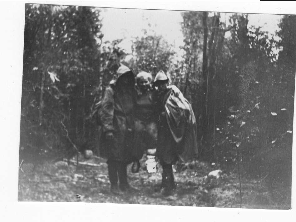 Фото из свободных источников.