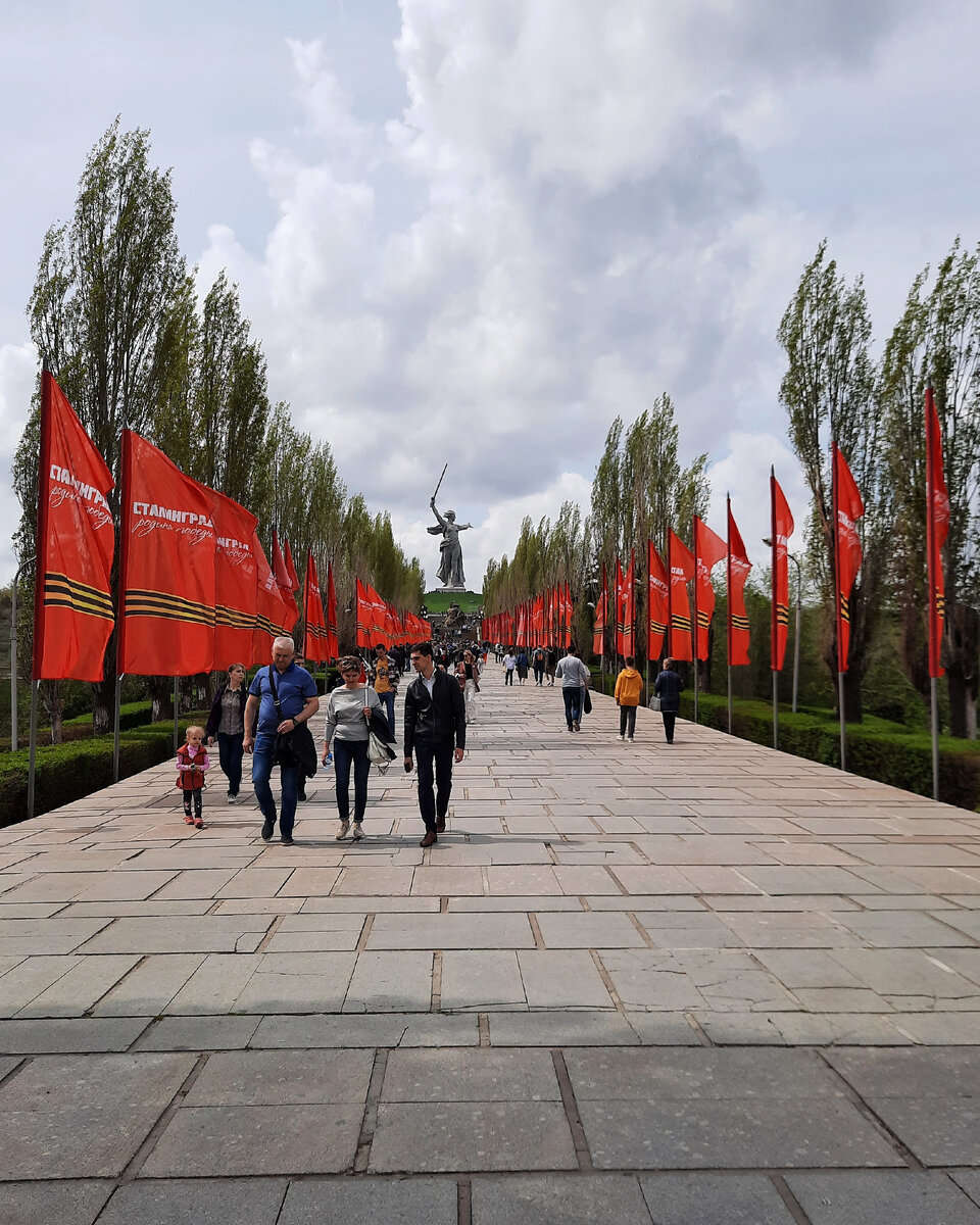 Аллея пирамидальных тополей