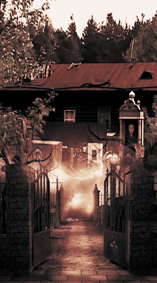 Фотоколлаж автора статьи