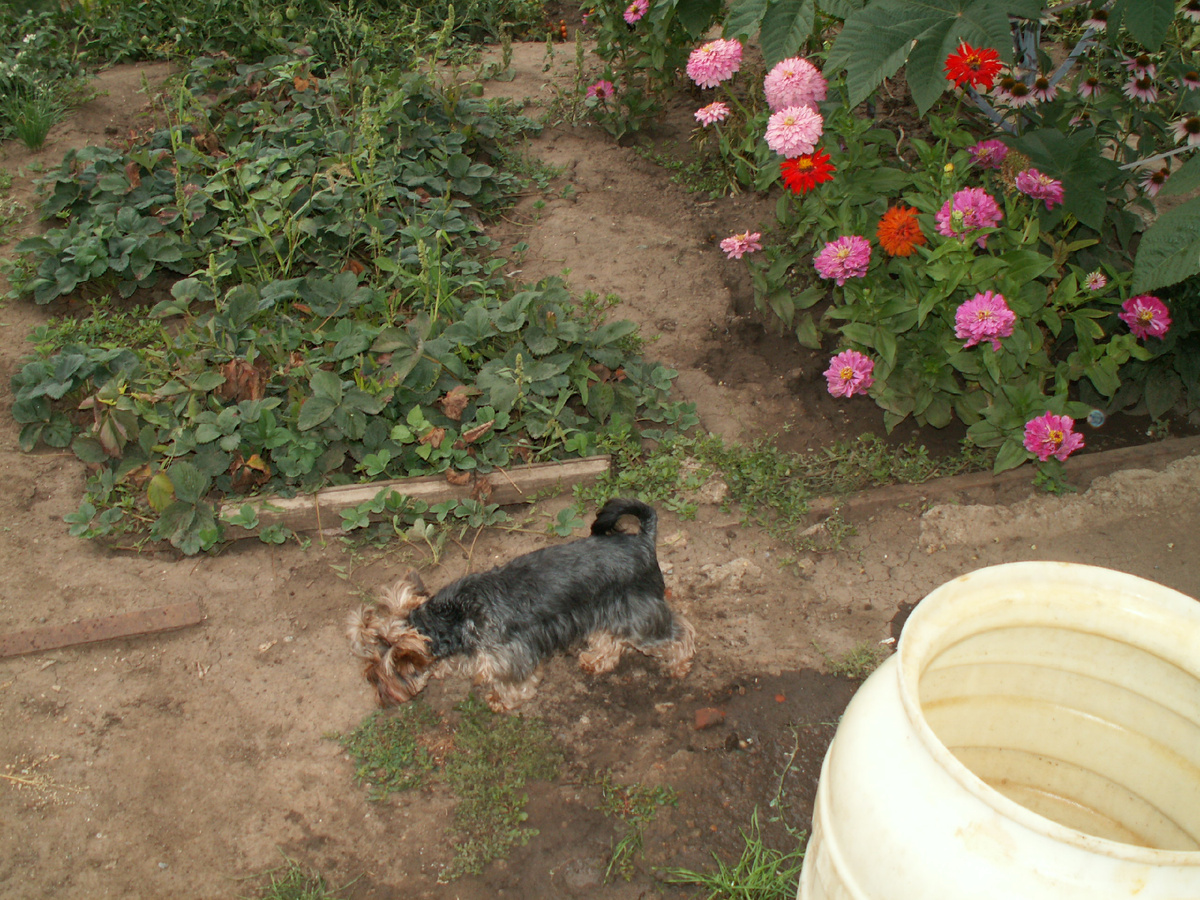 Брожу по угодьям