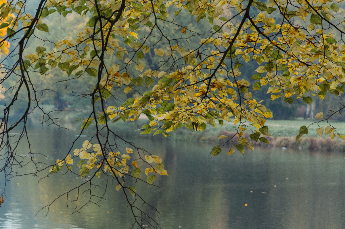 Галерея осени