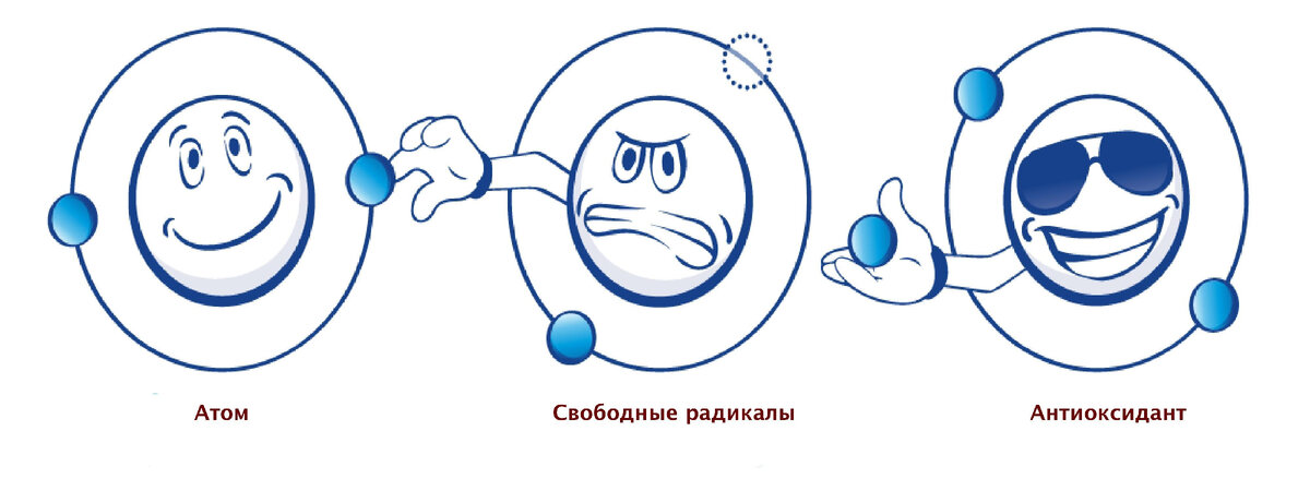 Антиоксидант отдаёт лишний электрон  свободному радикалу