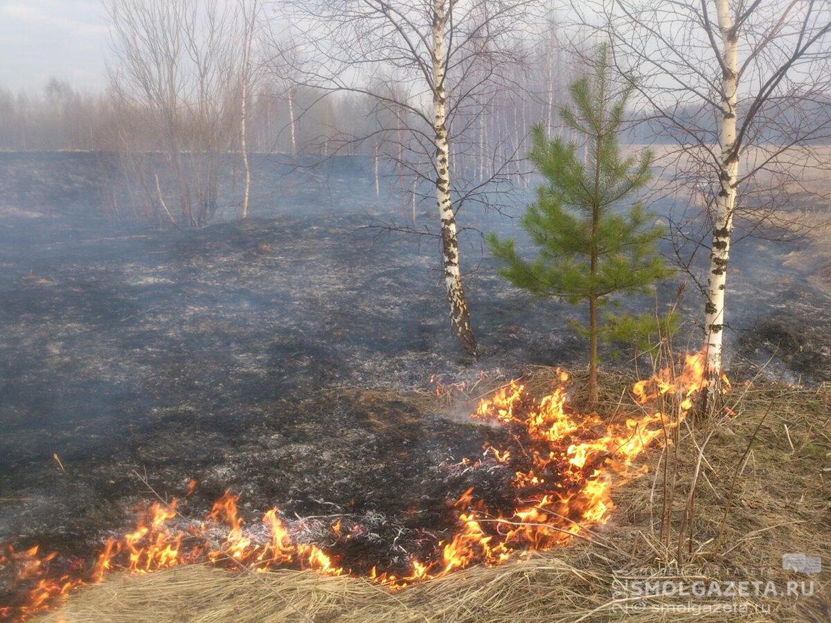 Фото: Алексей Матвеев