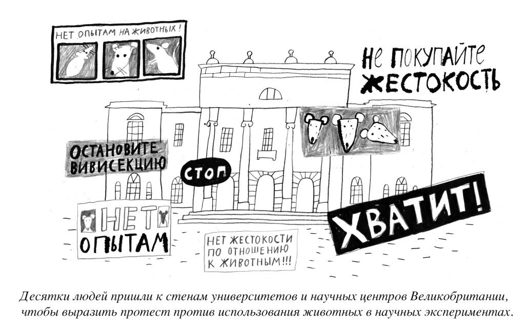 Иллюстрация: Настя Смирнова