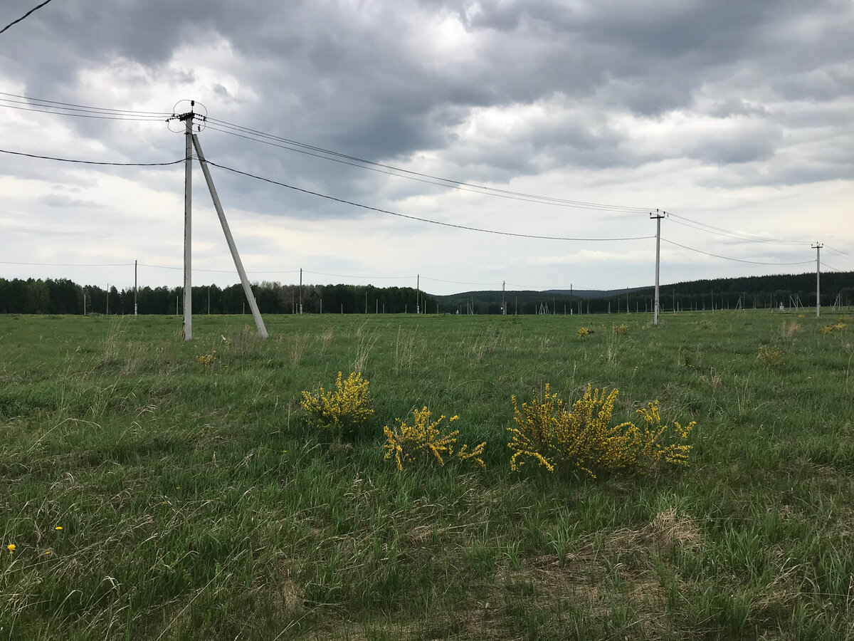 Такого добра в округе хватает 