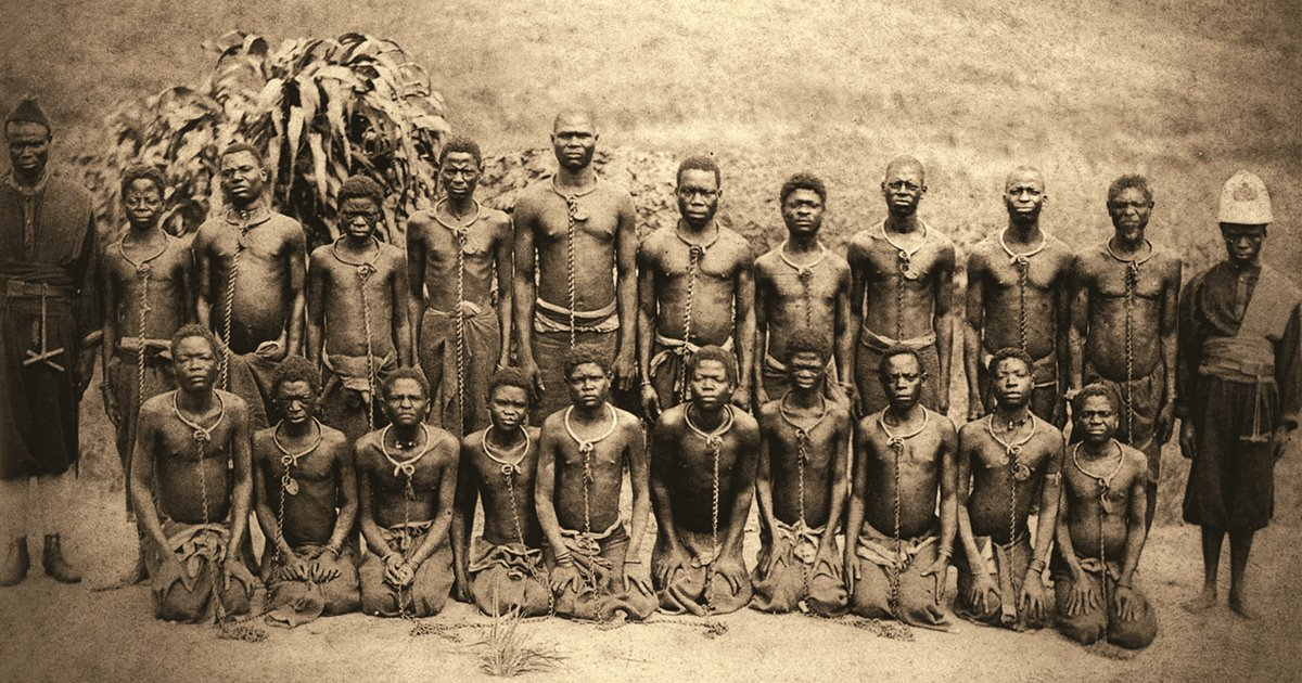 Бельгийское Конго отрубленные руки. Колонии Африки 20 век. Работорговля в Африке 19 век. Бельгийское Конго геноцид.