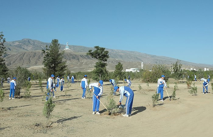 Источник фото: tdh.gov.tm