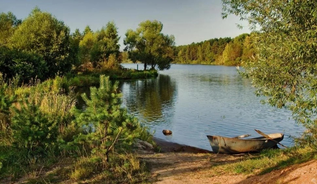 Фото из интернета 