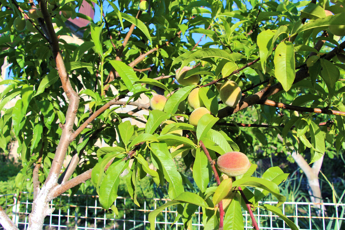 Листаем галерею.