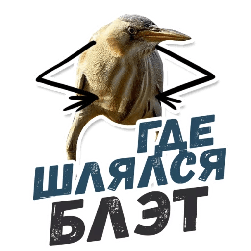 Так блэт. Птичка блэт. Стикер так блэт. Птица так