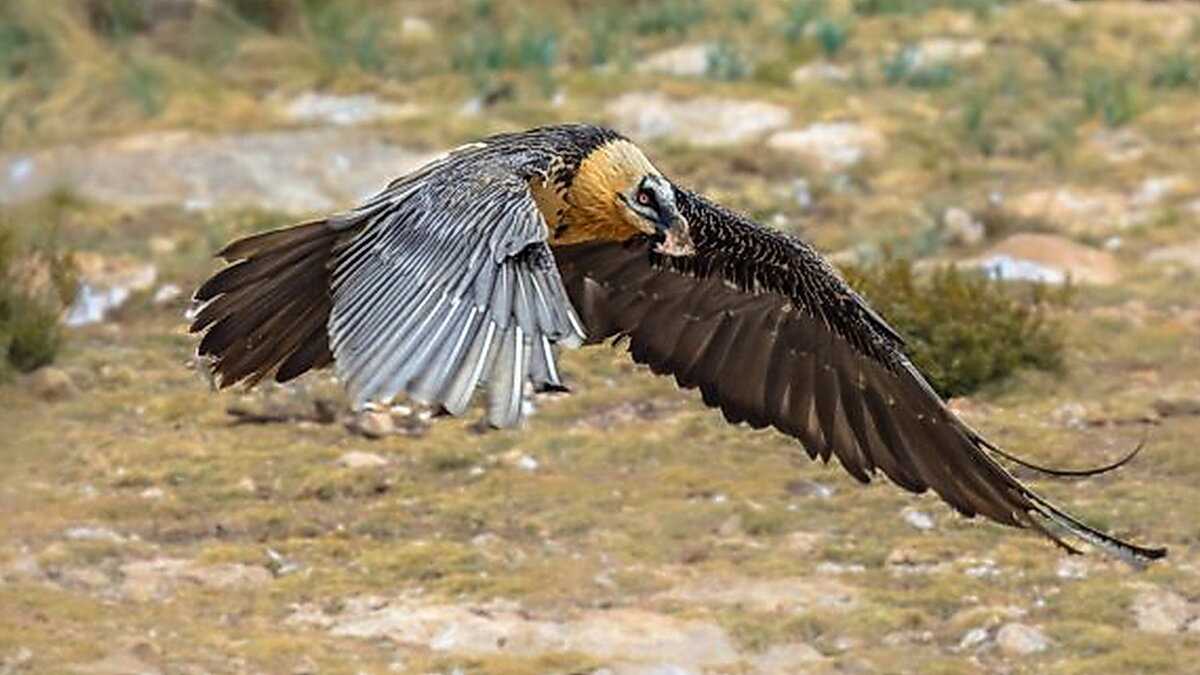 фото из открытых источников