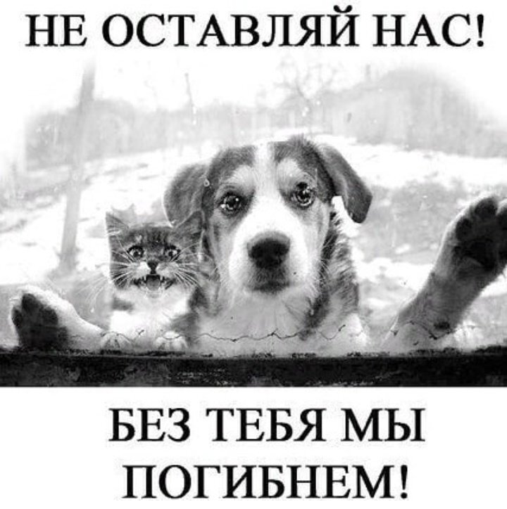 Фото из интернета