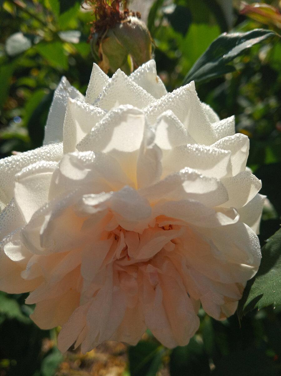 Фото из личного архива