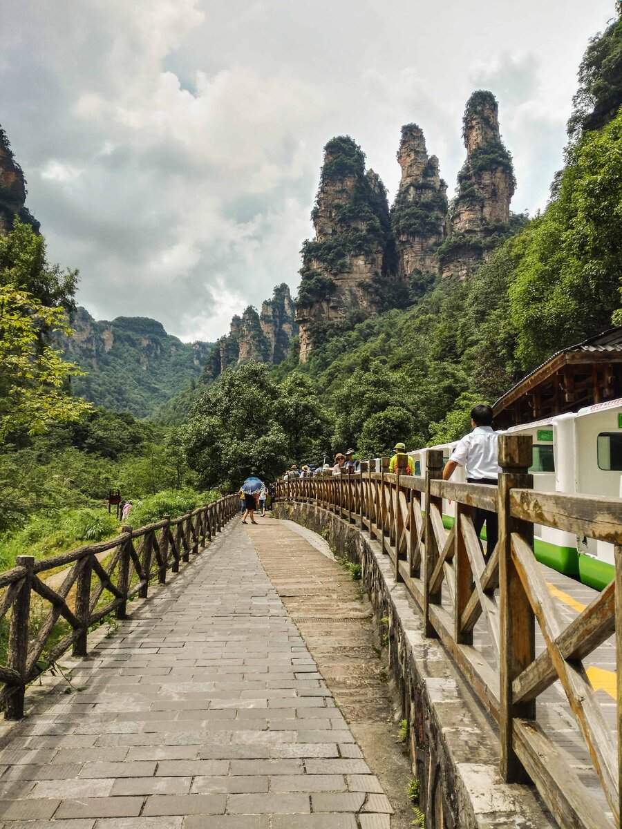 
 В парк Чжанцзяцзе можно зайти с четырех сторон. В зависимости от того, где вы живете, вы, вероятно, будете начинать каждый день с этого места. При прохождении ворот охранник берет у вас отпечаток пальца, который будет использоваться для регистрации каждый следующий день. Также необходимо иметь при себе билет (магнитную карту). 

