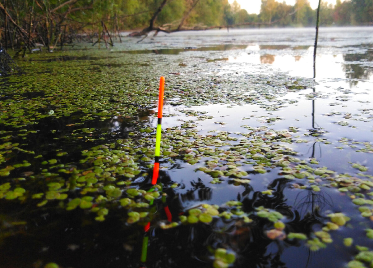 Огрузка поплавка с тестом