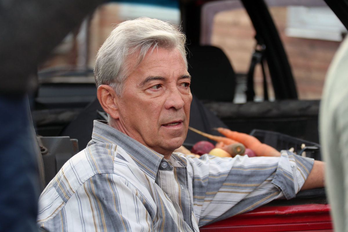 перекати поле 2020