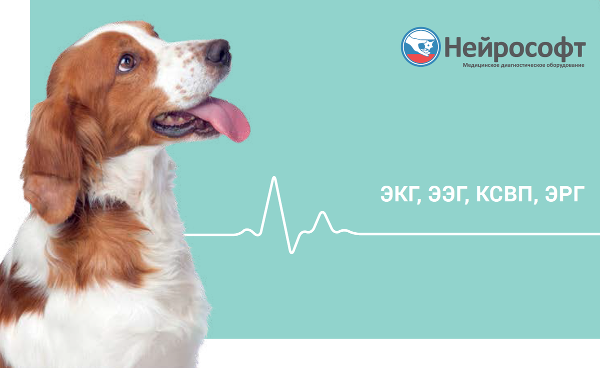 Нейрософт - российский производитель медицинского диагностического оборудования, имеющий в своем портфеле продуктов и решения для ветеринарии