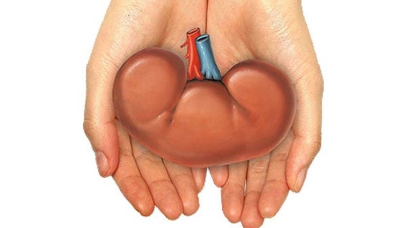 рисунок из яндекс-картинки