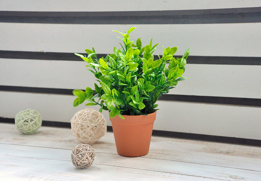 Черничник искусственный, 814 руб. 