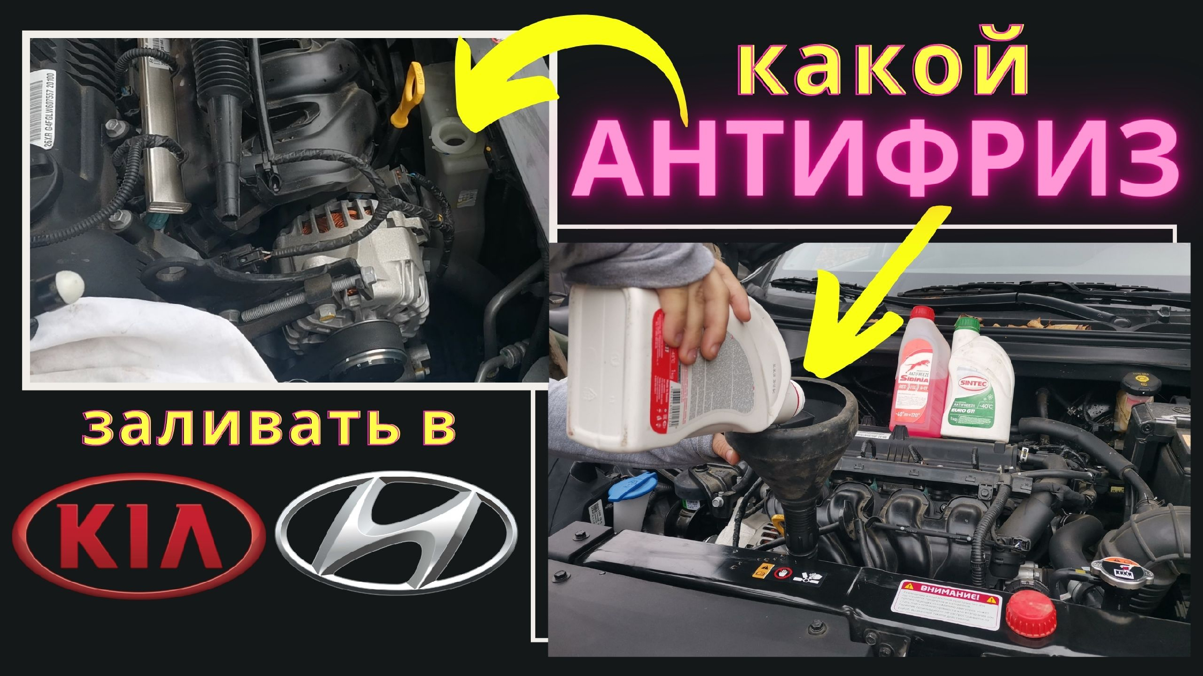 Какой антифриз доливать в Kia Rio X / Sportage / Seltos, Hyundai Solaris /  Elantra / Sonata