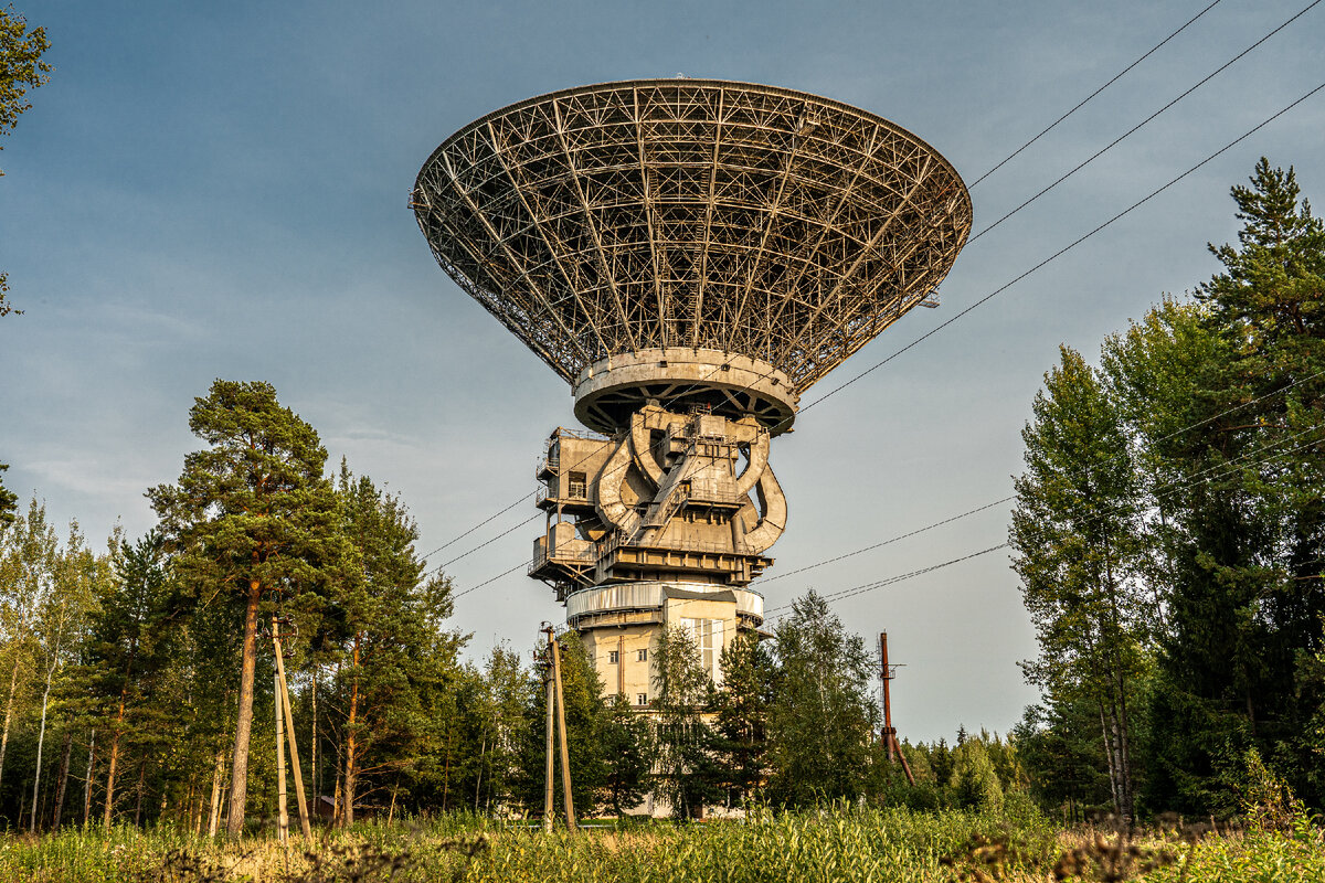 Радиотелескоп в лесу