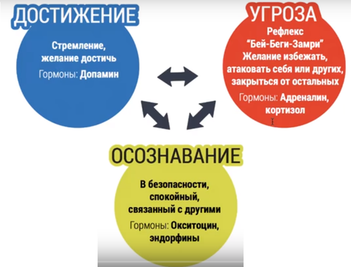 3 системы регуляции