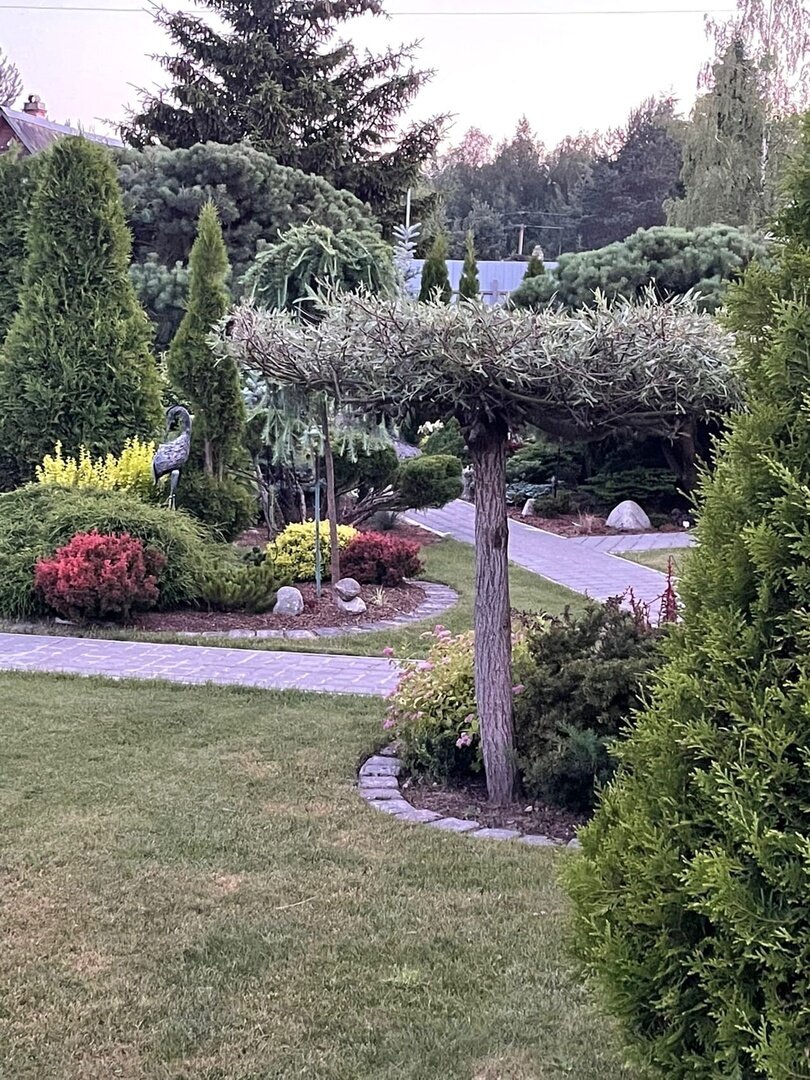 Сад Ольги Молчановой