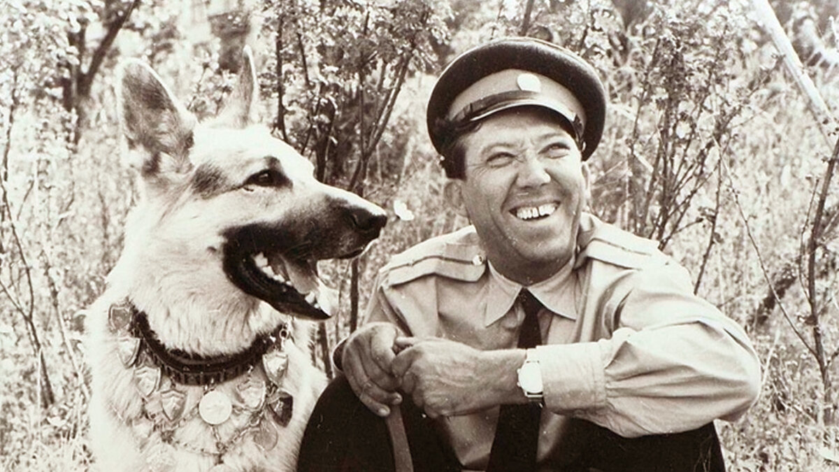 кадры из фильма «Ко мне, Мухтар!»