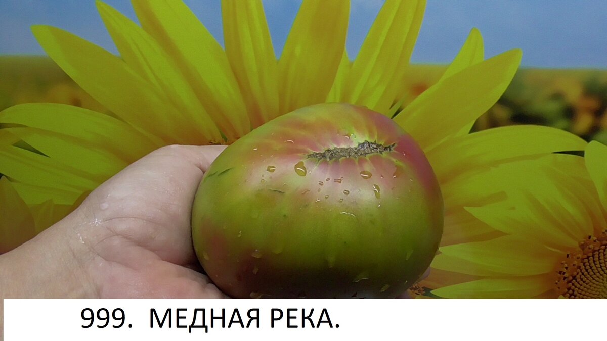 -129