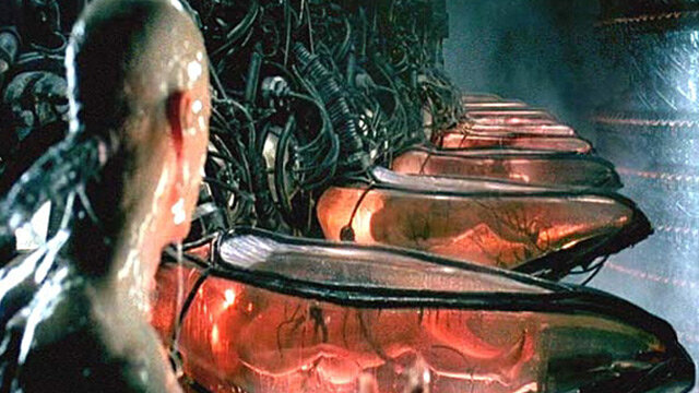 Вот она "реальность"