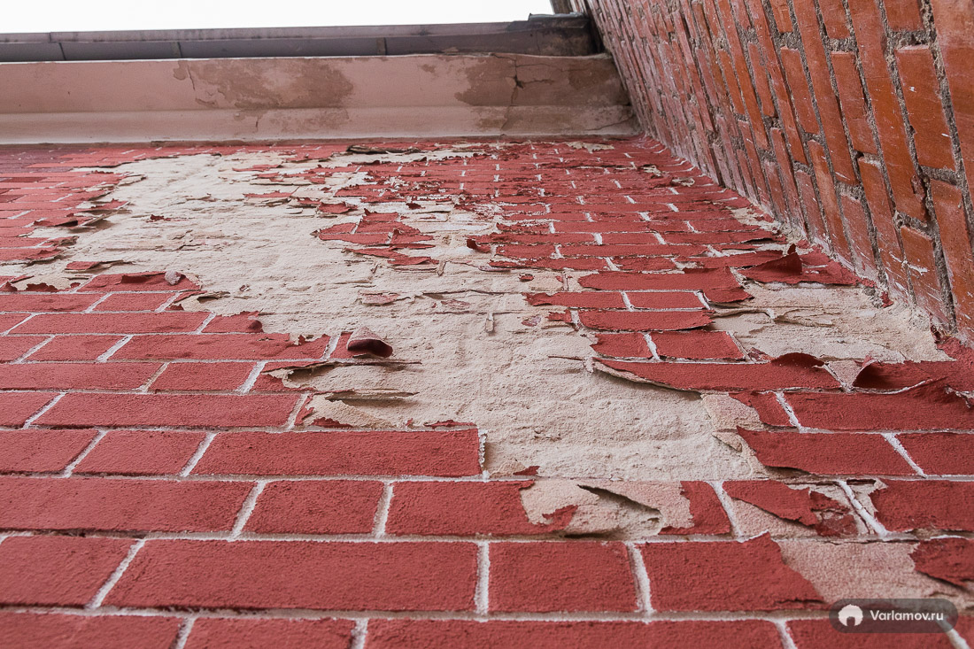 Фото Ильи Варламова