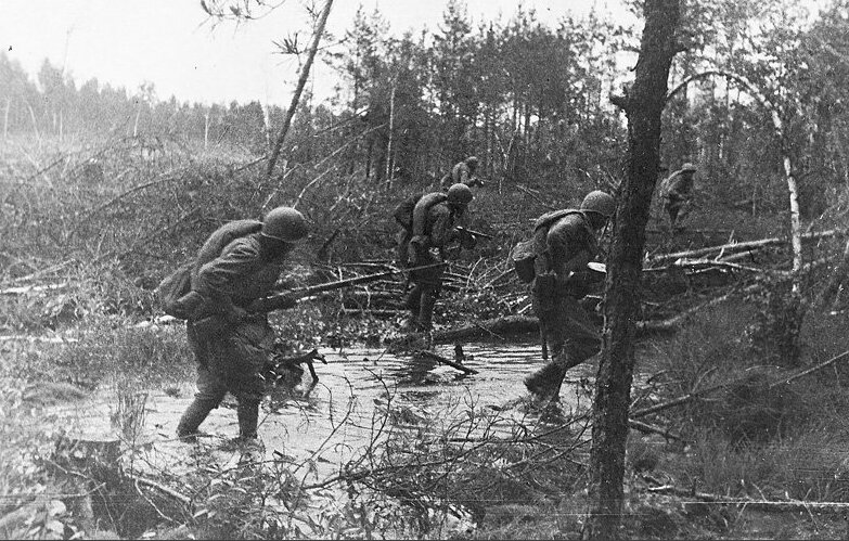 Солдаты идут в наступление через болота (Фото взято из открытых источников)