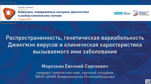 Распространенность, генетическая вариабельность Джингмэн вирусов и клиническая характеристика вызываемого ими заболевания