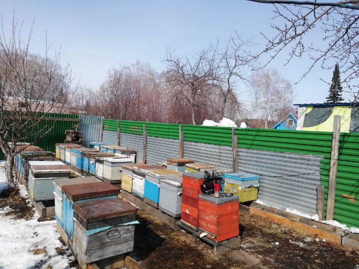 личное фото автора