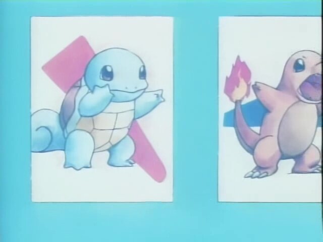 Черепаха, она же белка, она же птица