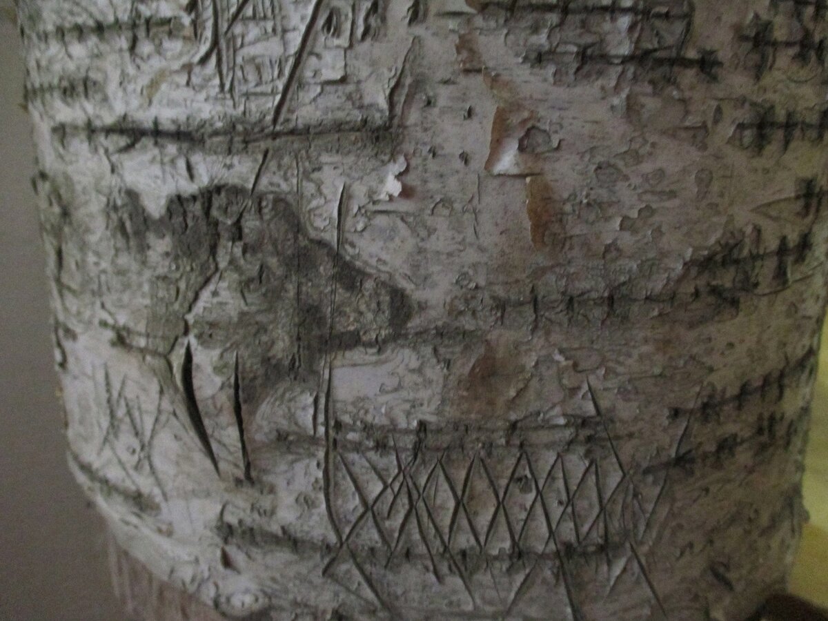 Фото: Сыктывдинское музейное объединение