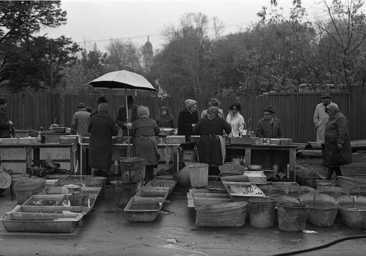 Птичий рынок 1970е. Фото с ресурса  fotostrana.ru