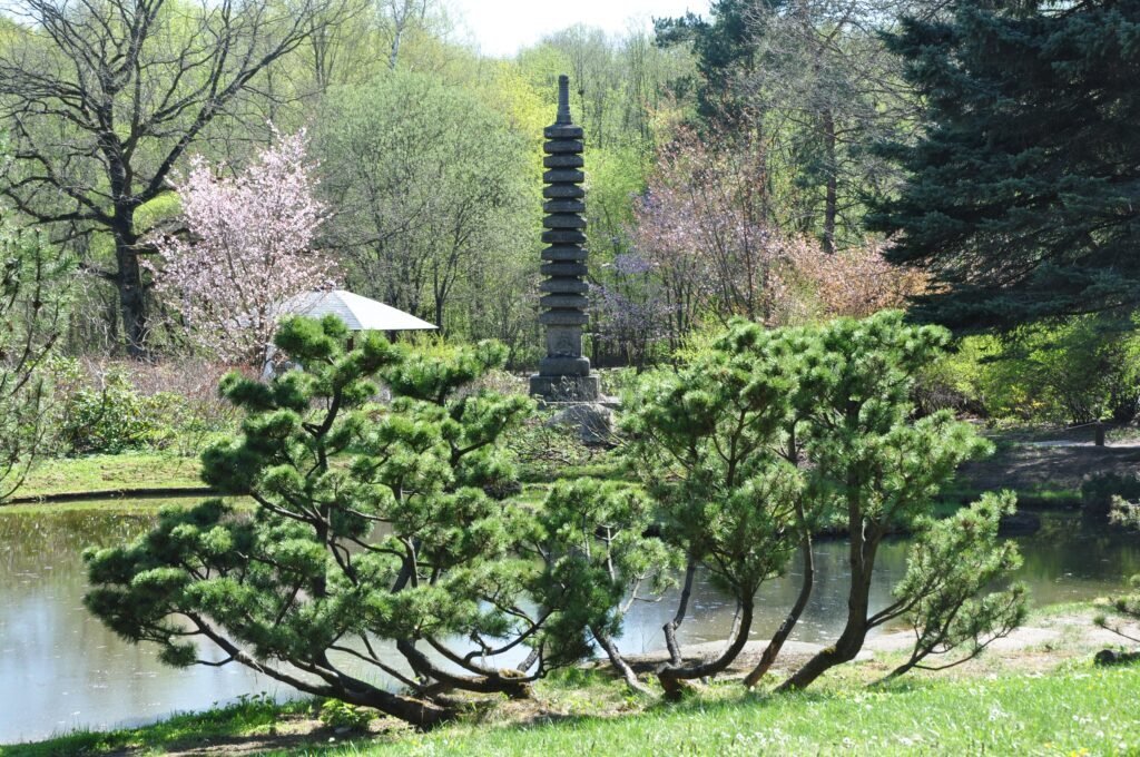 Фото: Главный ботанический сад имени Н.В. Цицина РАН