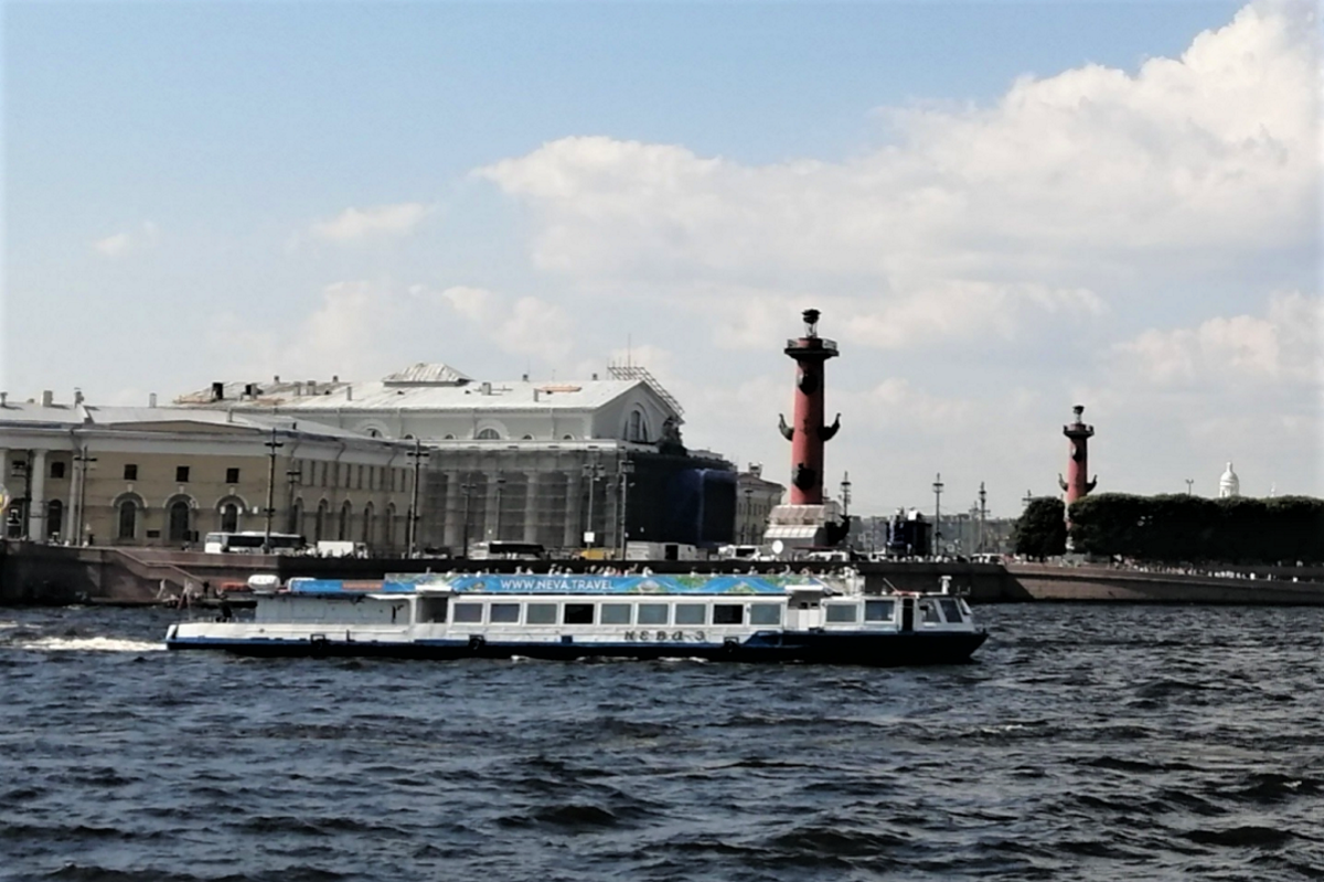 Стрелка Васильевского острова - один из самых красивейших ансамблей в Санкт-Петербурге. Основана во времена Петра I.
Две набережные соединяются в этом месте - Университетская и Макарова. К формированию архитектурного образа стрелки приложили руку именитые архитекторы Доменико Трезини, Джакомо Кваренги и Тома де Томон.
На стрелке расположено здание Биржи в стиле классицизма, фасад которого со стороны Невы украшает скульптура  "Нептун с двумя реками". По обеим сторонам Биржевой площади возвышаются две массивные Ростральные колонны, служившие маяками при входе в порт и напоминанием о морских победах Российской империи.  Высота их составляет 32 метра. Колонны декорированы  носовыми частями кораблей - рострами и якорями. У основания – колоссальные фигуры, символизирующие русские реки – Волгу, Днепр, Волхов и Неву.
Со Стрелки открывается роскошный вид на Неву, Дворцовую набережную, Эрмитаж.
Рядом расположены Зоологический музей, Кунсткамера - музей антропологии и этнографии им.Петра Великого и музей Ломоносова, Центральный музей почвоведения, Литературный музей.