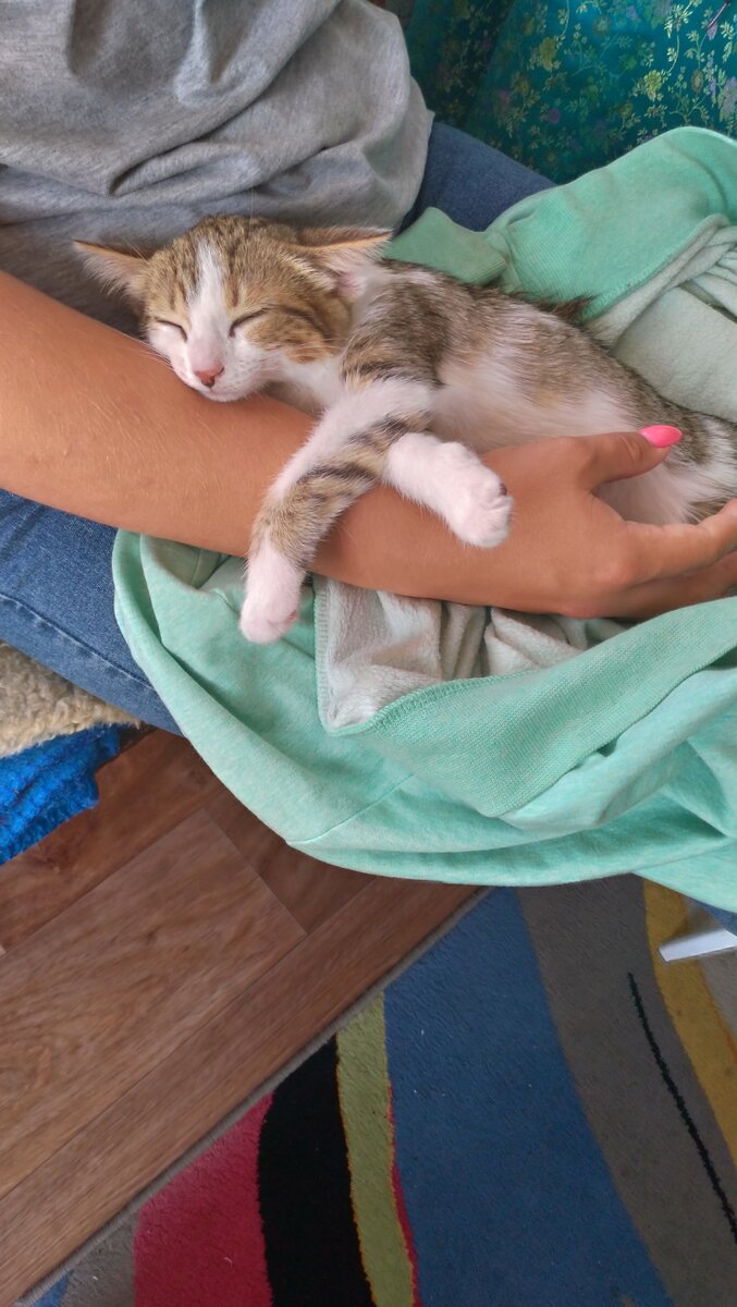 Так кто ты Люся или Люсьен?